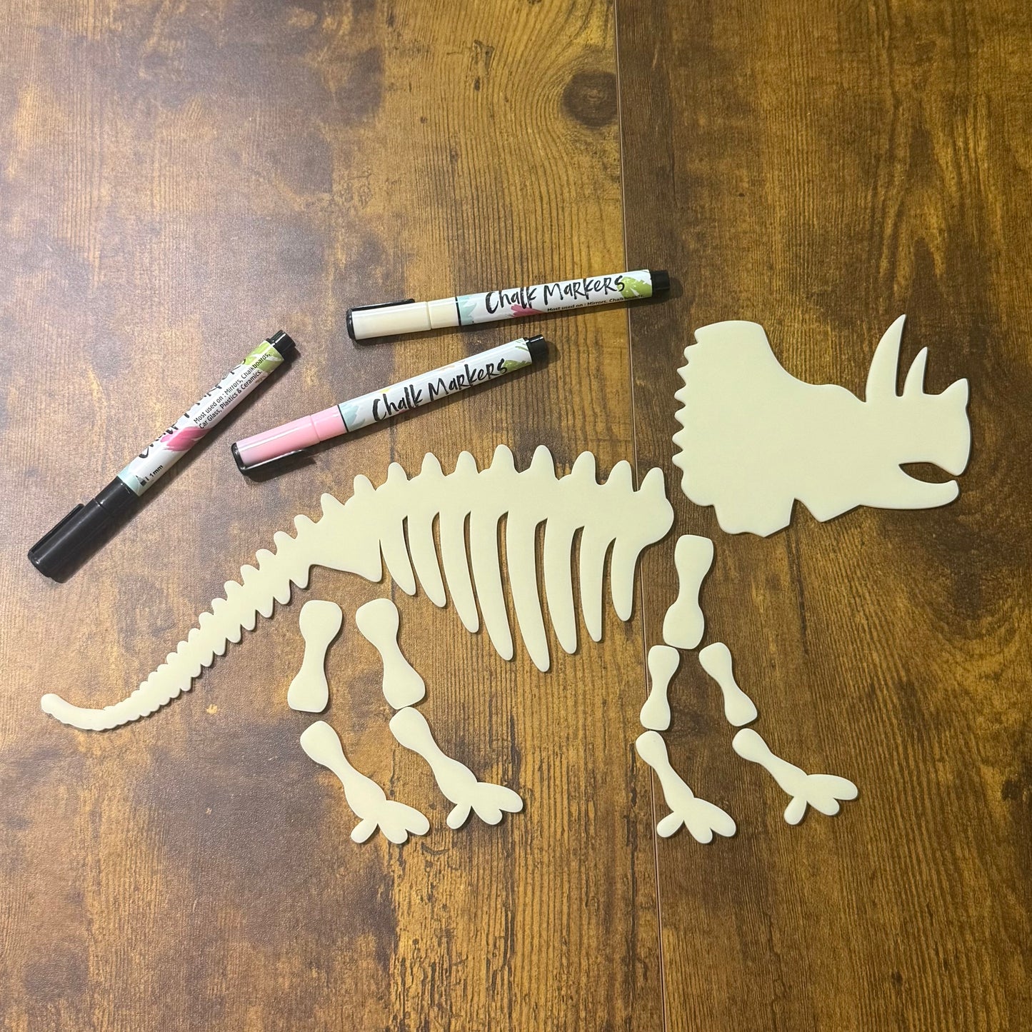 Triceratops Skeleton