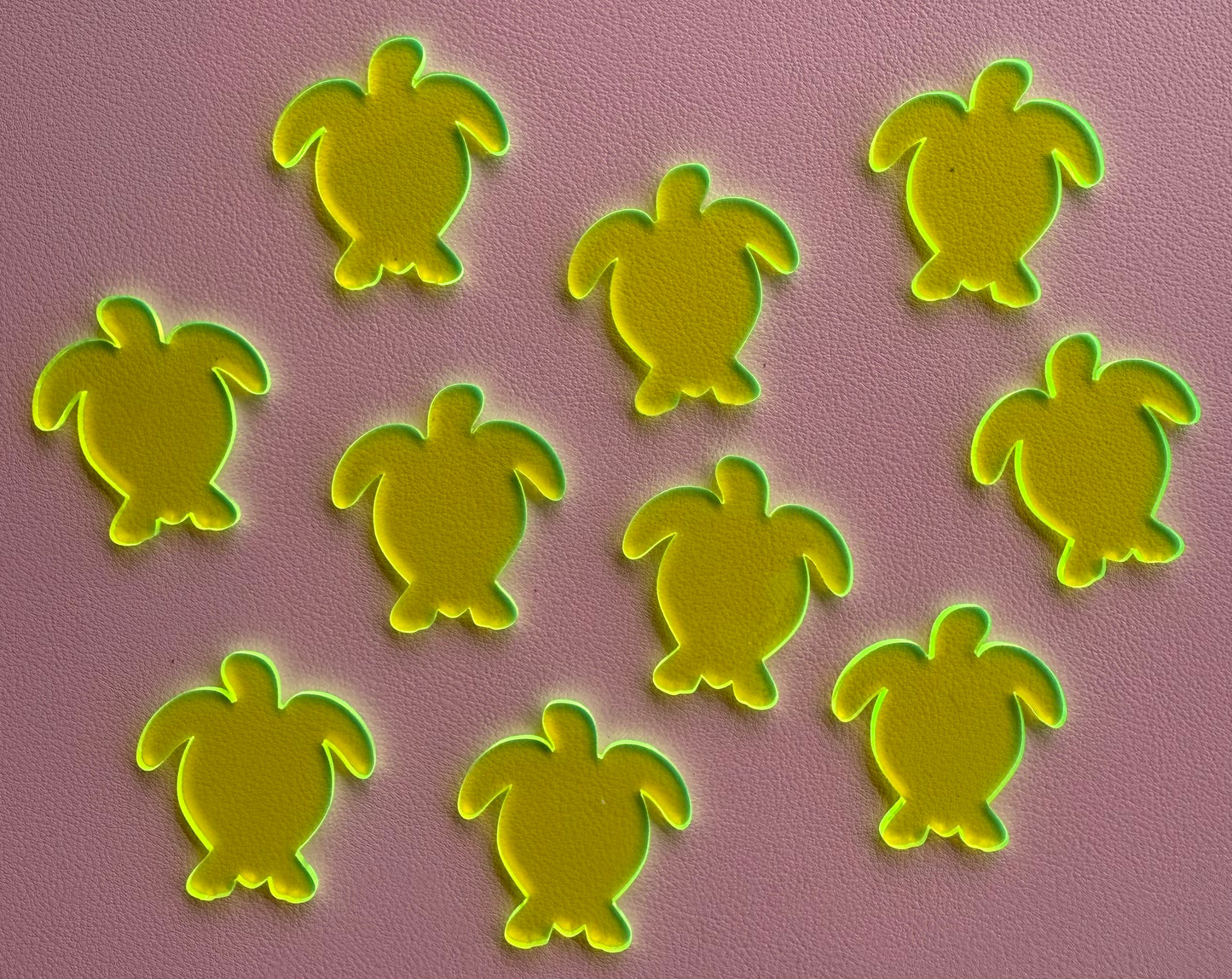 Turtle Counters