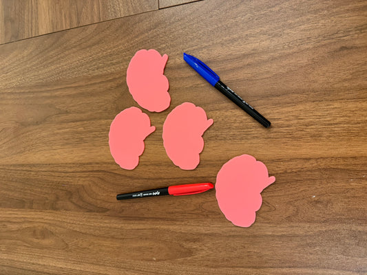 Brain Pack