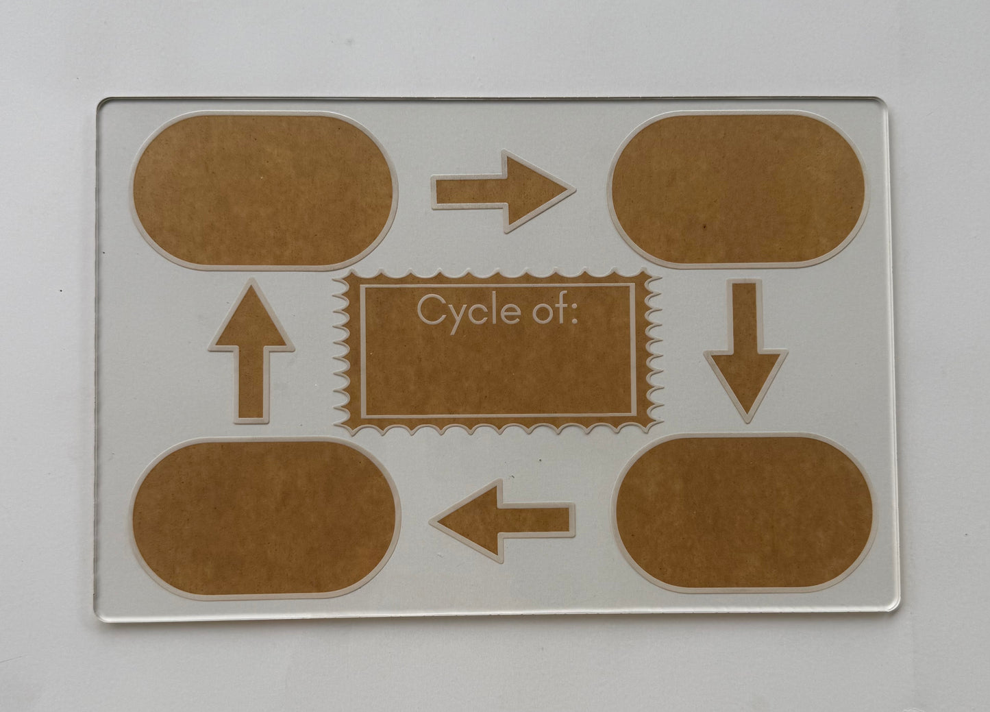 Life Cycle Board