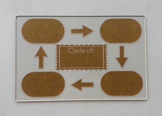 Life Cycle Board