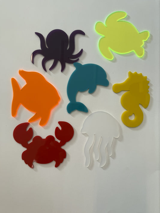 Ocean Animals