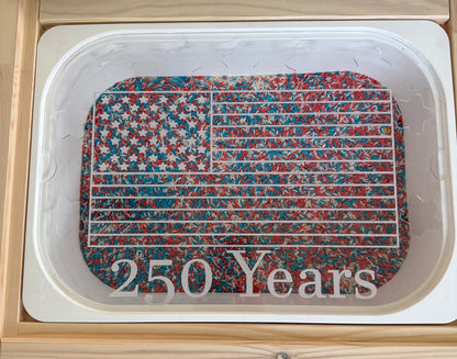 America 250 Flisat Insert