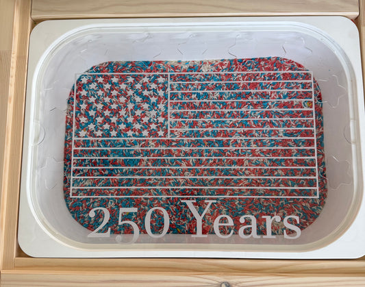 America 250 Flisat Insert